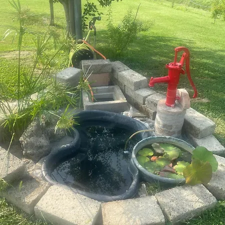 Bed and Breakfast La Chiocciola