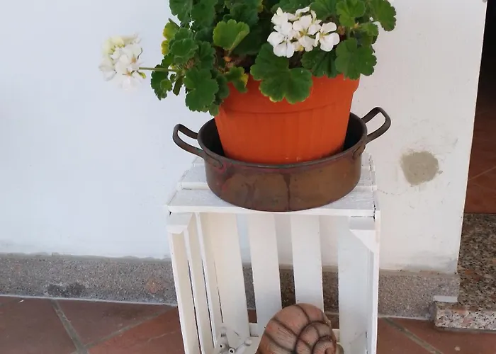 La Chiocciola Villanova di Bagnacavallo