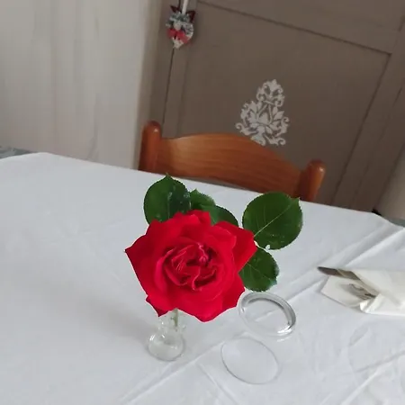 La Chiocciola * Villanova di Bagnacavallo