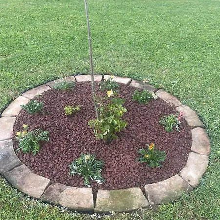 Nocleg ze śniadaniem La Chiocciola Villanova di Bagnacavallo