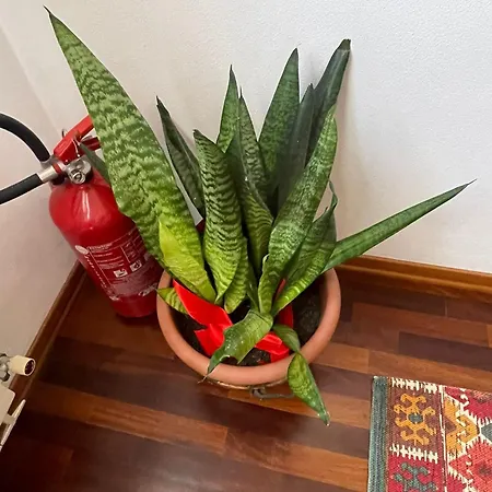 La Chiocciola Nocleg ze śniadaniem