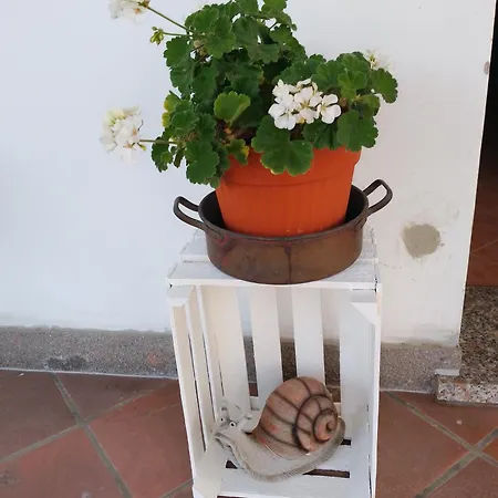 La Chiocciola Villanova di Bagnacavallo