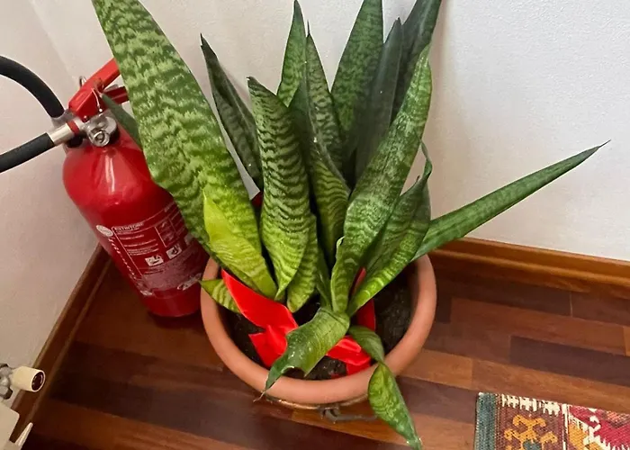 La Chiocciola Nocleg ze śniadaniem