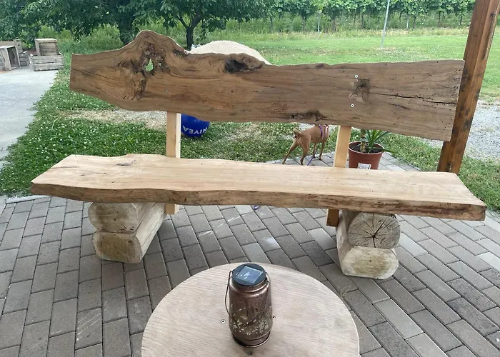 住宿加早餐酒店 La Chiocciola *